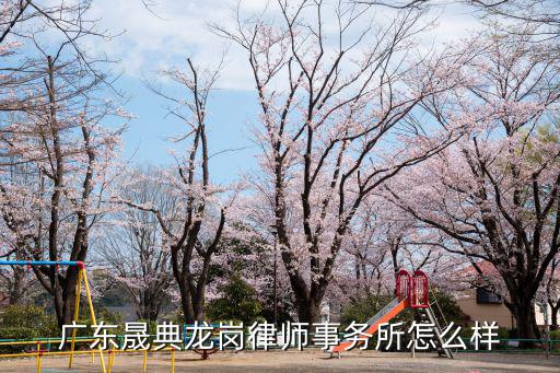 廣東晟典龍崗律師事務所怎么樣