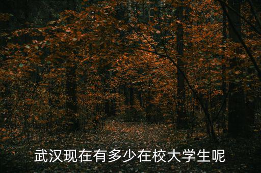 武漢現(xiàn)在有多少在校大學(xué)生呢