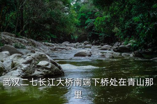 武漢二七長江大橋南端下橋處在青山那里