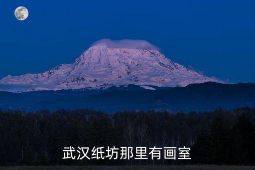 武漢紙坊那里有畫室
