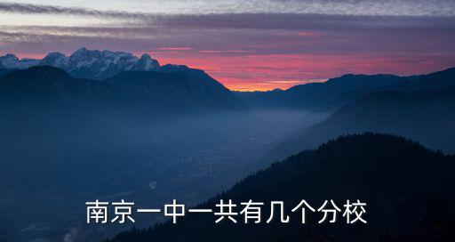 南京一中分校，南京一中一共有幾個分校