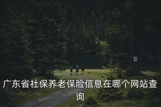 廣東省社保養(yǎng)老保險信息在哪個網(wǎng)站查詢