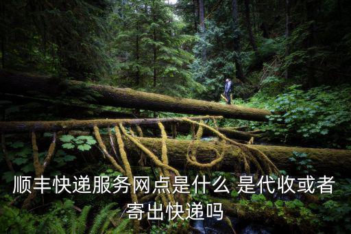 順豐快遞服務網(wǎng)點是什么 是代收或者寄出快遞嗎