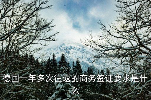 德國(guó)商務(wù)簽證，德國(guó)一年多次往返的商務(wù)簽證要求是什么