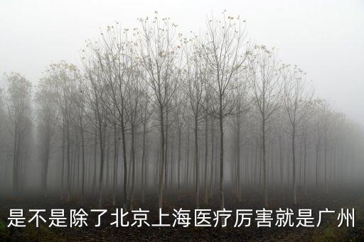 廣州醫(yī)療，是不是除了北京上海醫(yī)療厲害就是廣州
