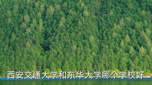 西安交通大學和東華大學哪個學校好