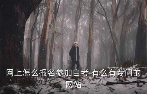 網(wǎng)上怎么報名參加自考 有么有專門的網(wǎng)站