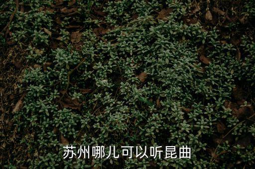 蘇州哪兒可以聽昆曲