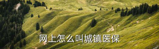 網上怎么叫城鎮醫保