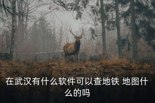 在武漢有什么軟件可以查地鐵 地圖什么的嗎