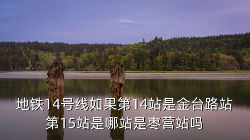 地鐵14號線如果第14站是金臺路站第15站是哪站是棗營站嗎