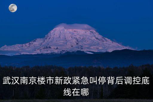 武漢南京樓市新政緊急叫停背后調控底線在哪