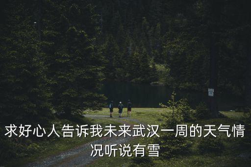 求好心人告訴我未來武漢一周的天氣情況聽說有雪