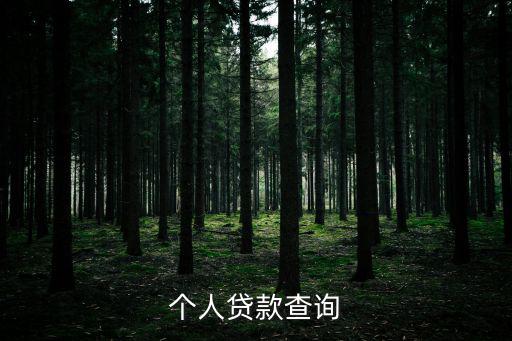 個人貸款查詢