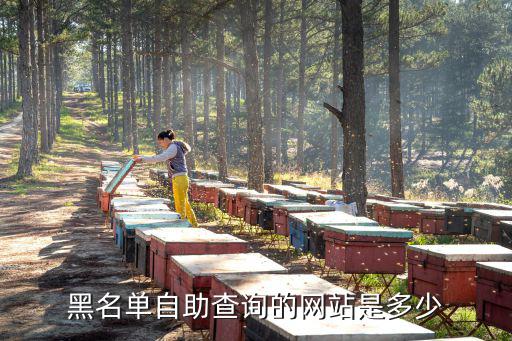 黑名單查詢系統，銀行黑名單網上查詢