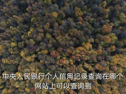 中央人民銀行個(gè)人信用記錄查詢?cè)谀膫€(gè)網(wǎng)站上可以查詢到