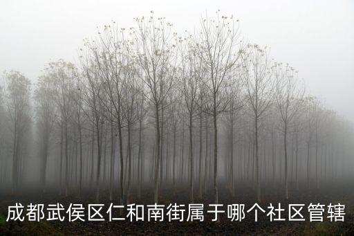 成都武侯區(qū)仁和南街屬于哪個社區(qū)管轄