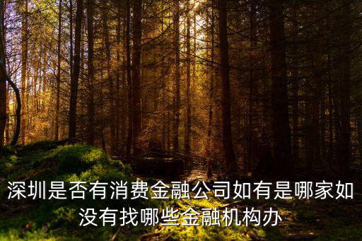 深圳是否有消費金融公司如有是哪家如沒有找哪些金融機構辦