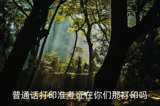 普通話打印準(zhǔn)考證在你們那打印嗎