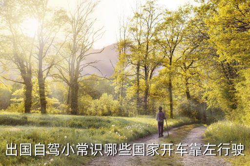 出國自駕小常識哪些國家開車靠左行駛