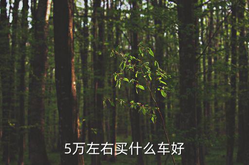 5萬左右的車，推薦個5萬以內適合女的開的自動檔車