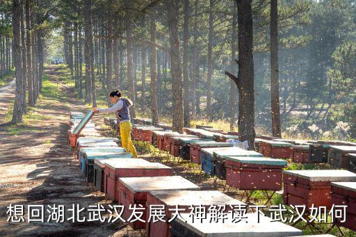 想回湖北武漢發展大神解讀下武漢如何