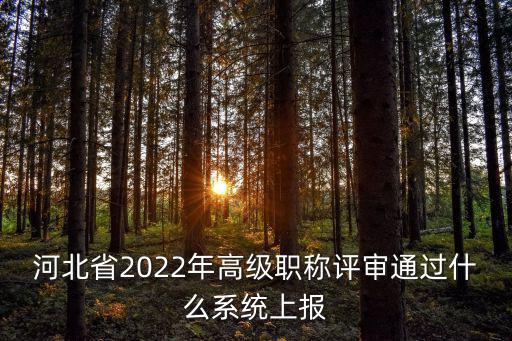 河北省2022年高級職稱評審通過什么系統上報