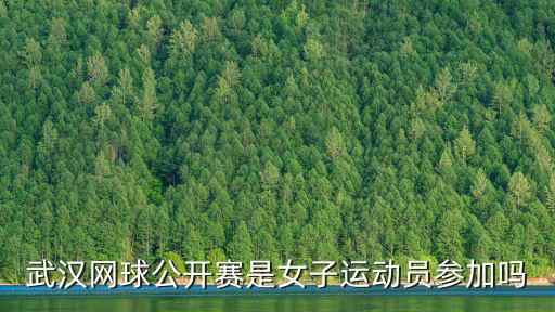 武漢網球公開賽是女子運動員參加嗎