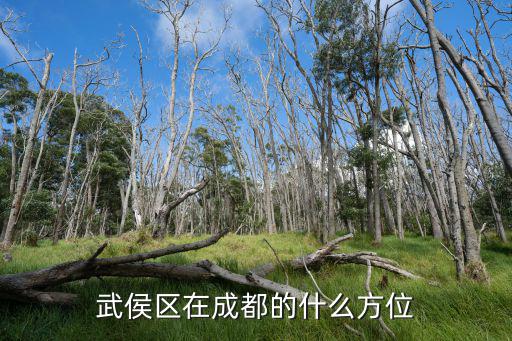 武侯區在成都的什么方位