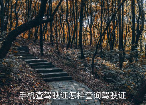 查駕駛證，機動車駕駛證查詢系統