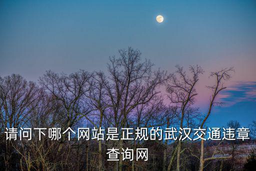 請問下哪個網站是正規的武漢交通違章查詢網