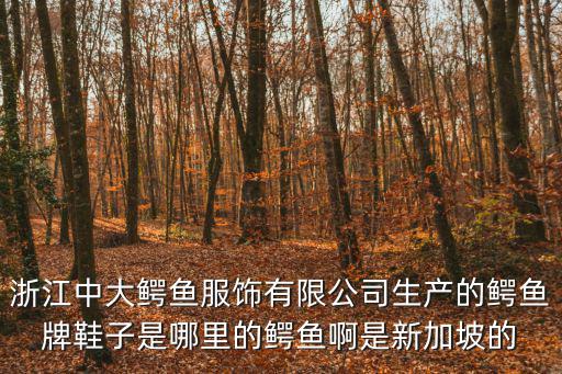 中大鱷魚，浙江中大鱷魚服飾有限公司生產的鱷魚牌鞋子是哪里的鱷魚啊是新加坡的
