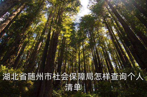 湖北省隨州市社會保障局怎樣查詢個人清單
