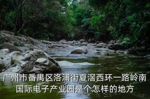 洛浦街，廣東省廣州市番禺區洛浦街道天朗商務中心在哪條路上