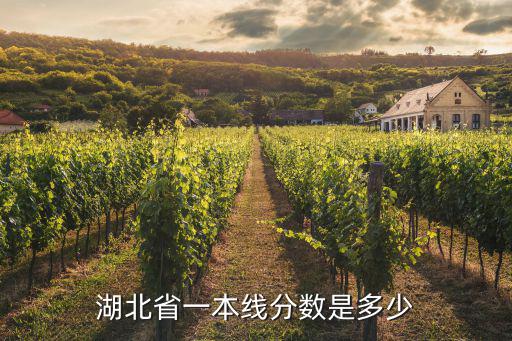 湖北省一本線分數是多少