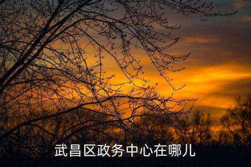武昌政務中心，武昌區政府政務中心在哪里