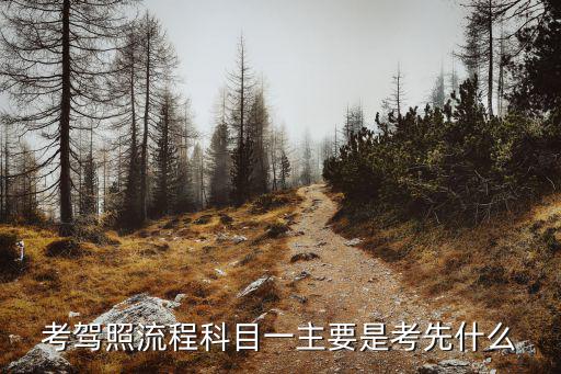科一考試流程，考駕照流程科目一主要是考先什么