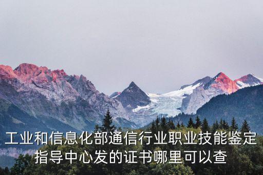 工業和信息化部通信行業職業技能鑒定指導中心發的證書哪里可以查