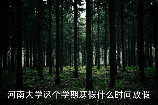 河南大學這個學期寒假什么時間放假