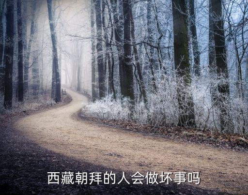 西藏朝拜，西藏人朝拜是怎么回事