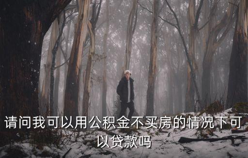 請問我可以用公積金不買房的情況下可以貸款嗎