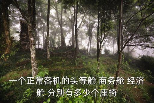 一個正常客機的頭等艙 商務艙 經濟艙 分別有多少個座椅