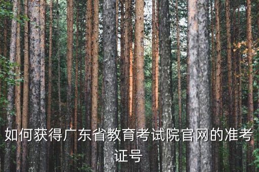 如何獲得廣東省教育考試院官網(wǎng)的準考證號