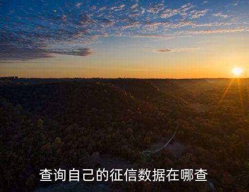 征信在線查詢，查詢自己的征信數據在哪查