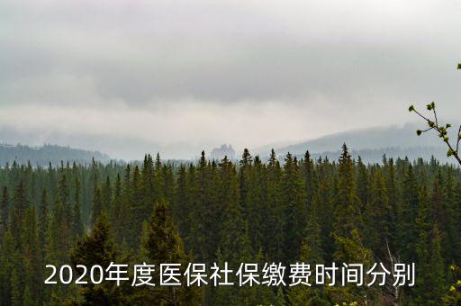 2020年度醫(yī)保社保繳費(fèi)時(shí)間分別