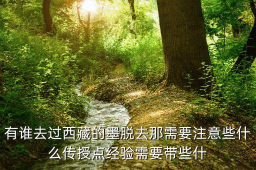 西藏墨脫，有誰去過西藏的墨脫去那需要注意些什么傳授點經驗需要帶些什