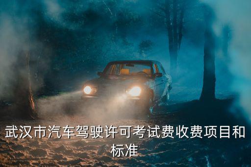 武漢市汽車駕駛許可考試費收費項目和標準
