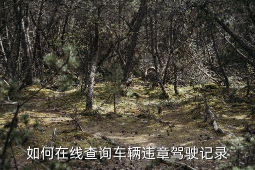 在線查詢車輛違章，怎樣在網上查詢自己的車有沒有違章