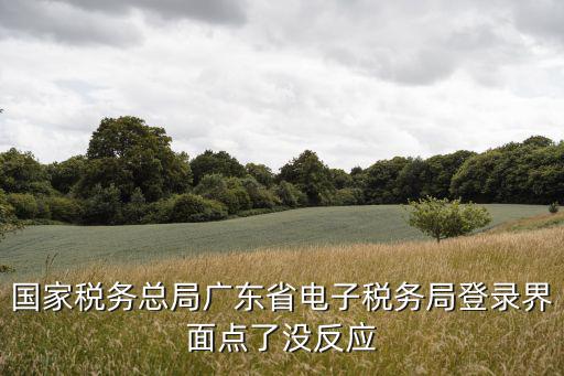國家稅務總局廣東省電子稅務局登錄界面點了沒反應