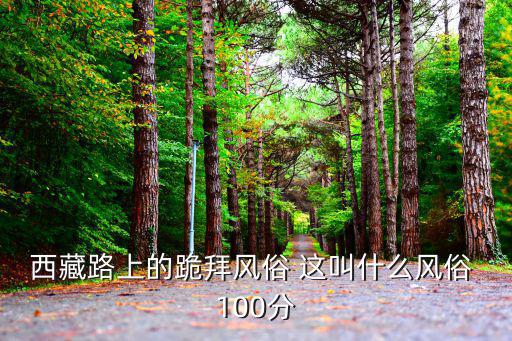 西藏路上的跪拜風俗 這叫什么風俗 100分